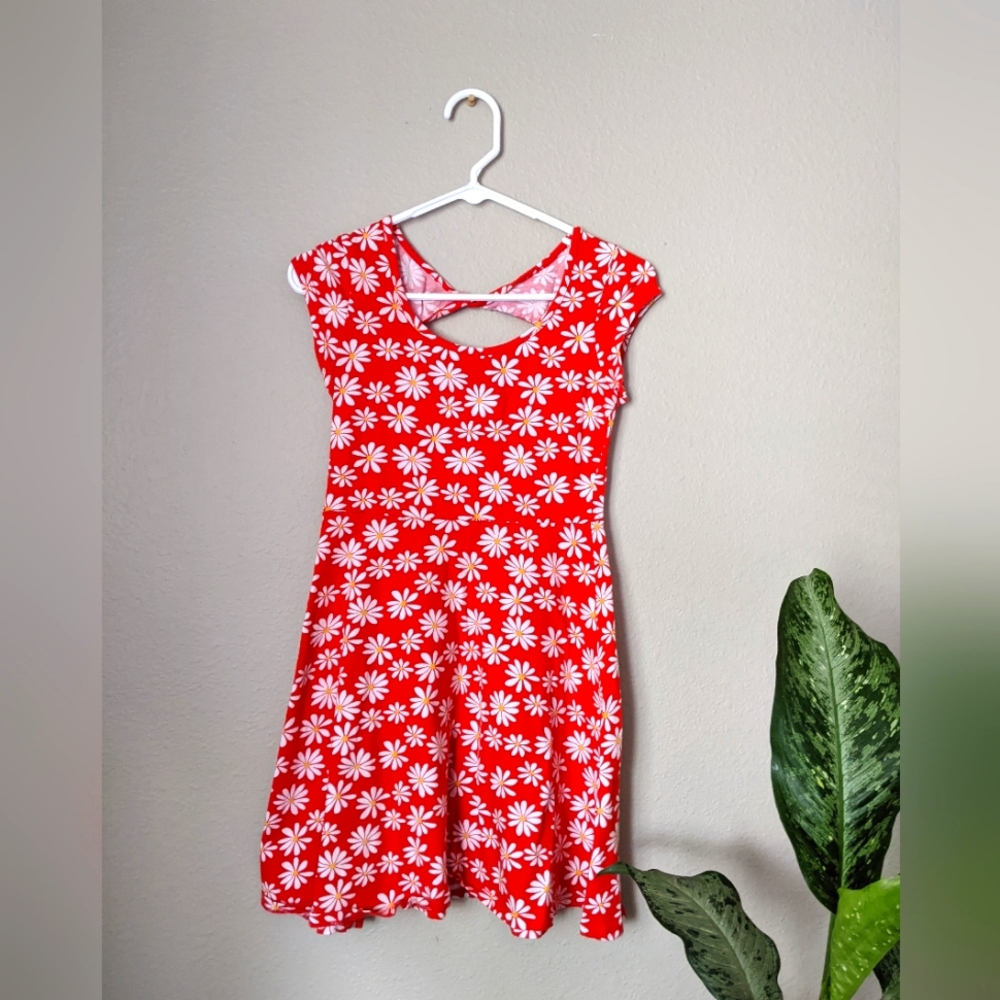Daisy Skater Dress